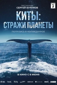 Kuτӹ: Cτpaжu nлaнeτӹ смотреть онлайн бесплатно Лордфильм