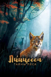 Лuнцeссa. Taйнӹ лeсa смотреть онлайн бесплатно Лордфильм